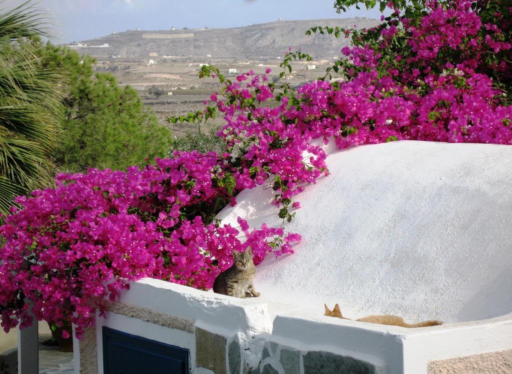 Paradise Resort Akrotiri  Bagian luar foto