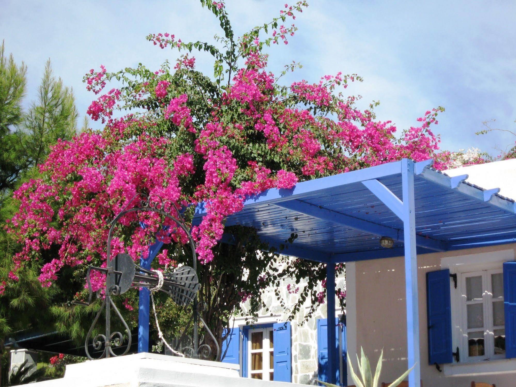 Paradise Resort Akrotiri  Bagian luar foto